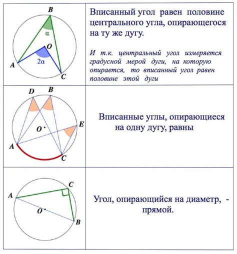 Углы в окружности и их градусная мера: