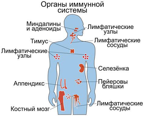 Угроза здоровью и иммунной системе