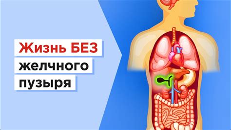 Удаление желчного пузыря и вред зефира