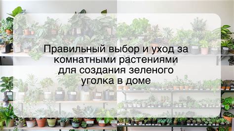 Удаление зеленого уголка