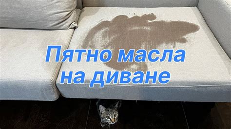 Удаление клея с дивана с помощью масла