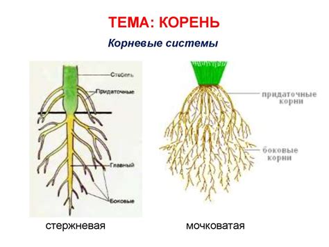 Удаление корневых частей