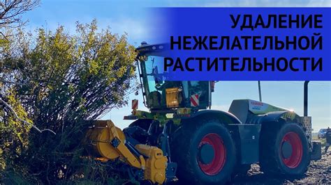 Удаление растительности