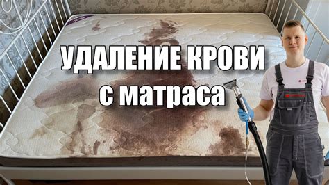 Удаление свежих пятен крови с матраса с помощью гидроперита: простая и надежная методика