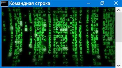 Удаление Python в командной строке: пошаговая инструкция