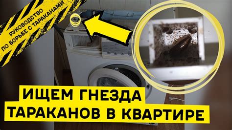 Удаление found вручную: проверенные способы борьбы с нежелательным приложением