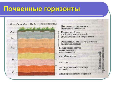 Удерживание тепла в почве