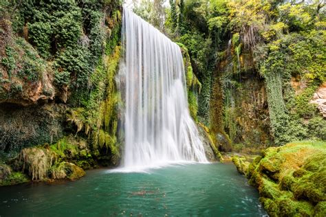 Удивительные лесные тропы и водопады