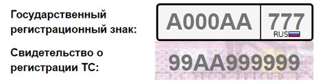 Удобный способ проверки штрафов на авто