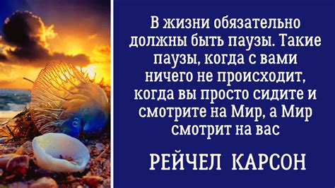 Узнайте, в каких случаях вы освобождаетесь от работы на следующий день