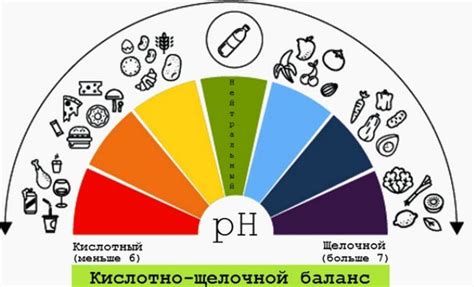 Узнайте базовый метаболический показатель