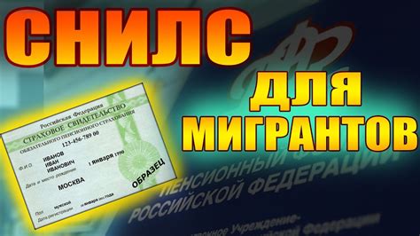 Узнайте о готовности СНИЛС онлайн