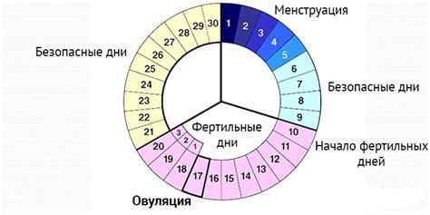 Узнайте свой овуляционный цикл