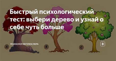 Узнай больше о себе с помощью психического теста