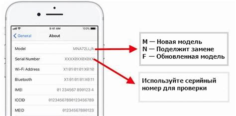 Узнать РНН ИП: проверенные методы