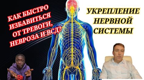 Укрепление нервной системы