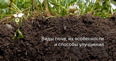 Укрепление почвы и улучшение ее состава