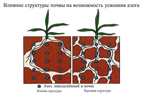 Укрепление структуры почвы удобрением навозом