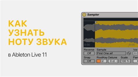 Улучшение качества звука в Ableton: эффективные способы