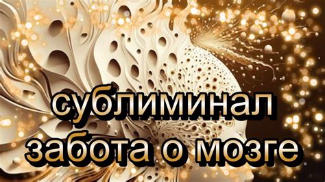 Улучшение настроения и работы мозга