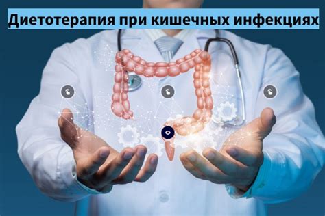 Улучшение пищеварения при употреблении подкисших щей