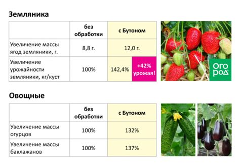 Улучшение плодоношения