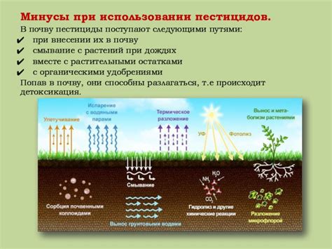 Улучшение физических свойств почвы