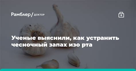 Умная диета: какие продукты помогут устранить чесночный запах?