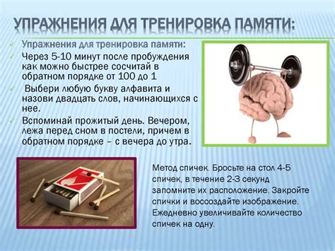 Умственная тренировка для стимуляции памяти и интеллекта