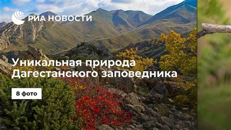 Уникальная природа Прииссыккульского заповедника