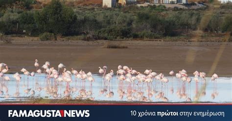 Уникальное зрелище с эффектами света и музыки