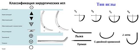 Уникальное строение игл