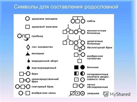 Уникальность родословной Ремарков