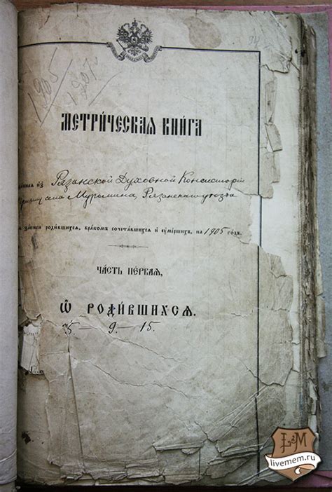 Уникальные документы: как в архивах найти свое дворянское происхождение