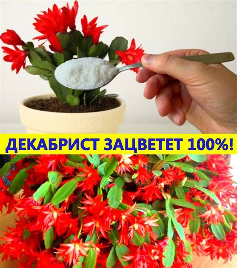 Уникальные советы