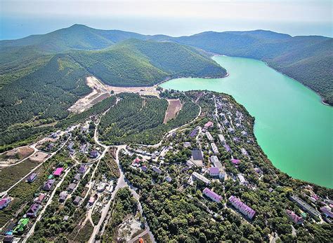 Уникальные факторы привлекают кошек в Абрау-Дюрсо