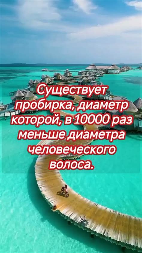 Уникальные факты о разбитых вазах