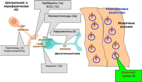 Уникальный механизм действия Флуомизина