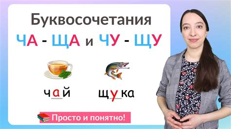 Употребления слова ча ша в речи