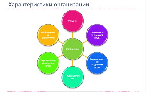 Управление и организация работы