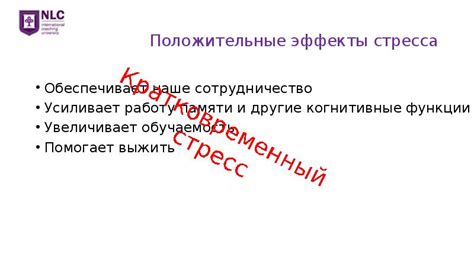 Управление стрессом и продуктивностью