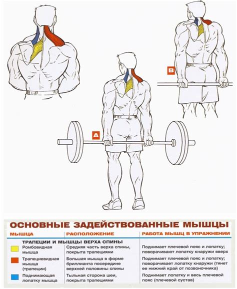 Упражнение №2: Шраги со штангой