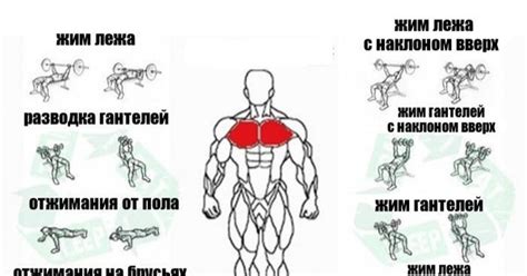 Упражнения для подмышечных областей: топ-5