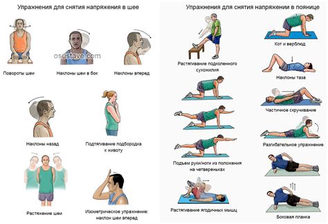 Упражнения для профилактики и лечения хондроза в шейном отделе