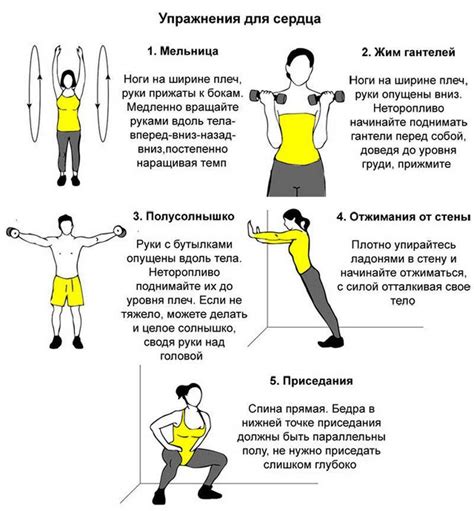 Упражнения для силы рук и эффективные рекомендации