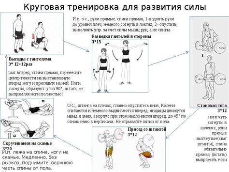 Упражнения на развитие силы для выполнения бокового сальто