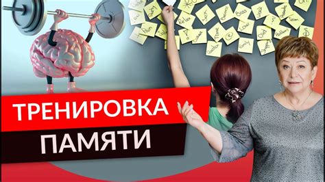 Упражнения на улучшение концентрации и памяти