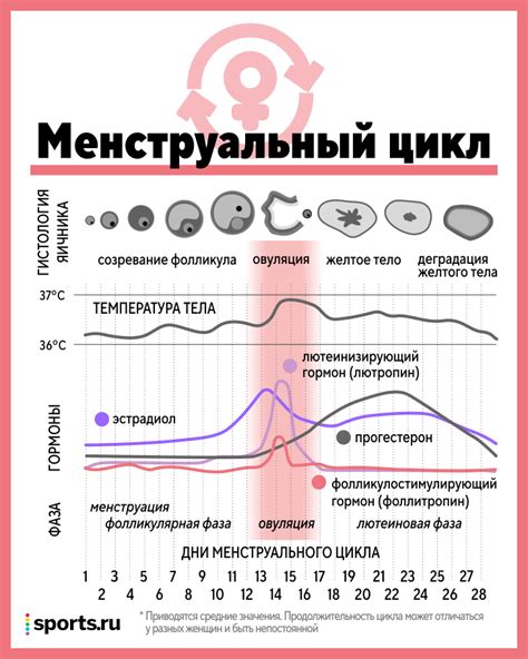 Уровень гормонов и рост