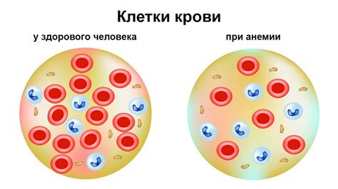 Уровень осмоляльности крови: что это такое?