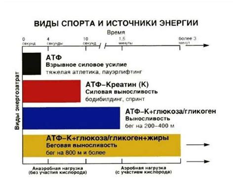 Уровень энергии и баланс